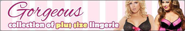 SpicyLegs.com-Plus Size lingerie at lowest prices.
