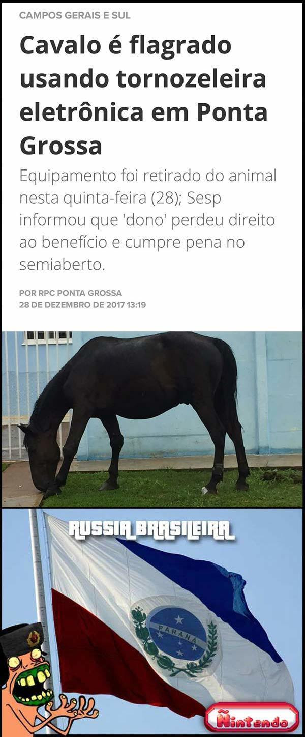 Percebe Ivair