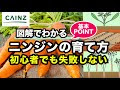 [新しいコレクション] 人参 育て方 253948-人参 育て方 日当たり
