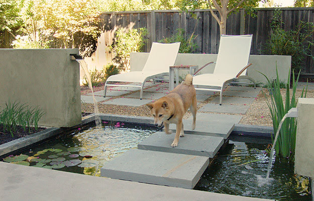 backyard landscape design ideas Back Yard Landscape Ideas with a Dog | 625 x 400