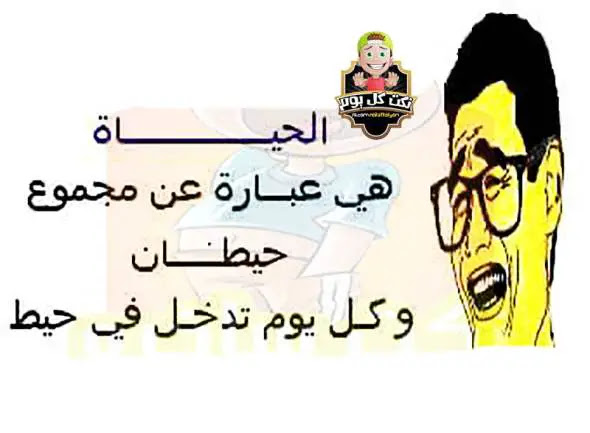 جديدة احلى 2017