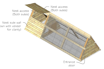 The Basics of Building a Chicken Coop