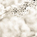 DSC00015-2