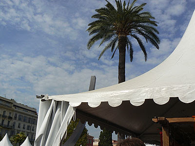 tentes et palmier à Nice.jpg
