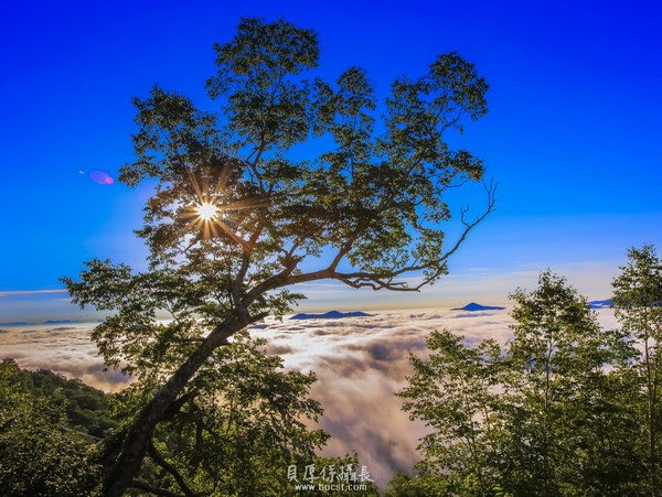 圖檔