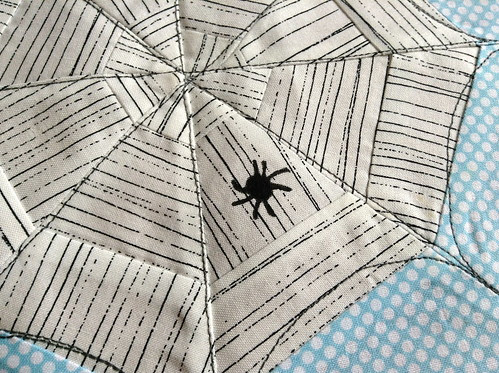 spider and web