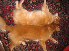 Herbie and Tommy 005