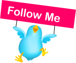 twitterbutton.nl