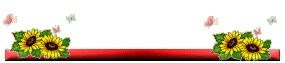 Image hosting by Photobucket