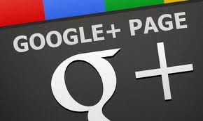 pingouin grincheux on GOOGLE PLUS
