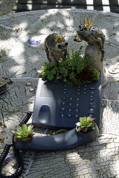 froesche_am_gartentelefon 