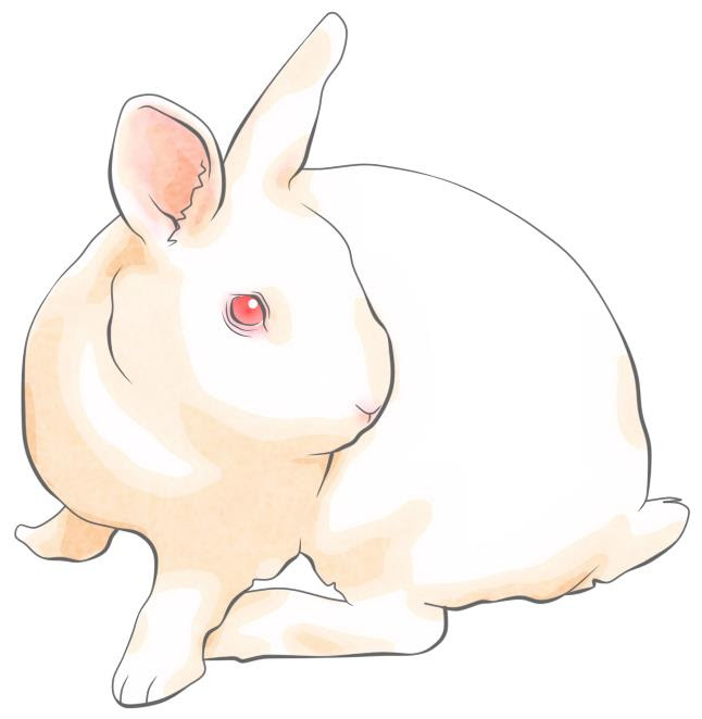 振り向くうさぎイラスト素材 Kmsys卯年賀状イラスト素材集