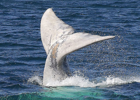 Foto: Reuters
