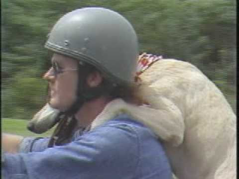 This man listed a brew for a dog and gained a supporter for the road