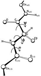 Dihedral Angles