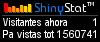 Audiencia web