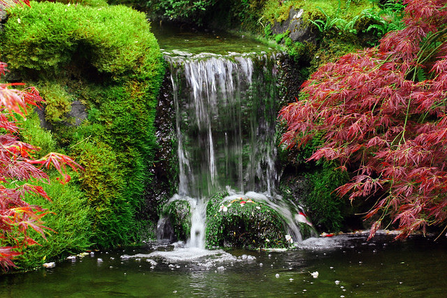 Waterfall in Japanese Garden
