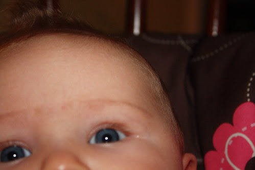 When A 4-Year-Old Gets the Camera
