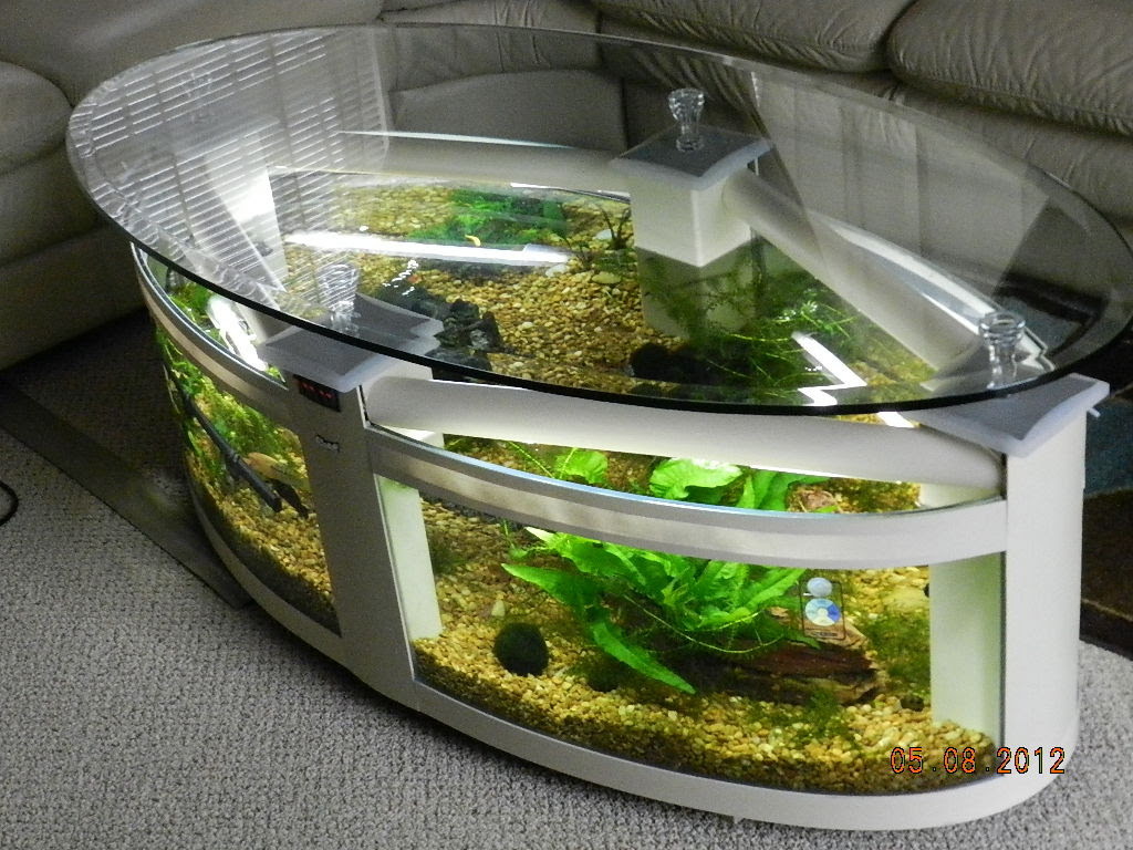 Download Coffee table tank? - Aquarium Advice - Aquarium Forum ...