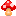 キノコ