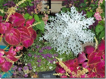 10-30-2016 GW26 (15)