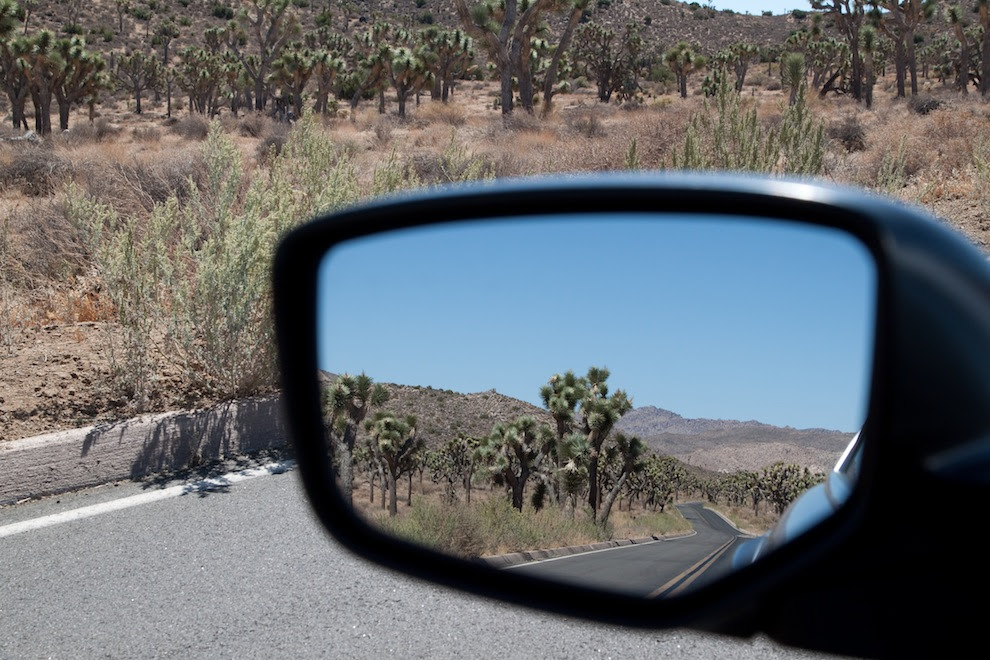 kcc4m El fascinante Parque Nacional Joshua Tree [34 Fotos]