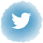 Share to Twitter