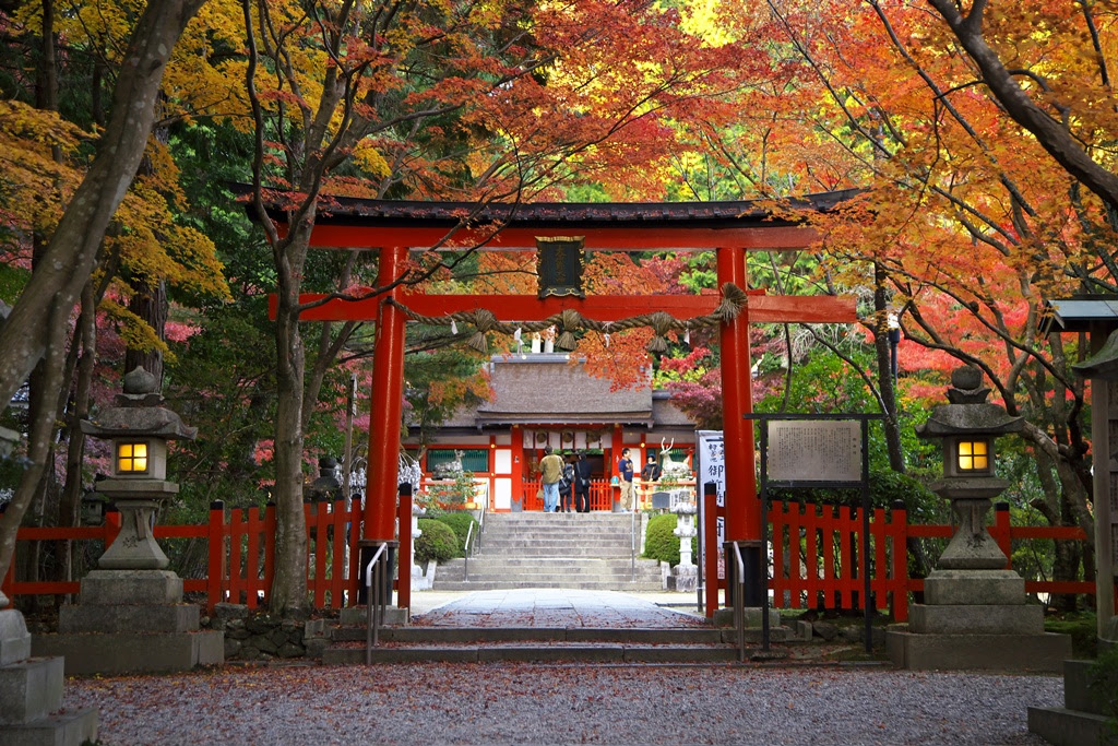 日本の美しい神社の高画質な画像 壁紙 写真まとめサイト Pictas
