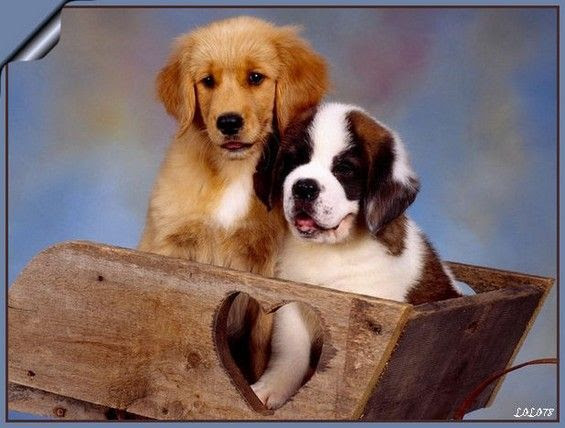 BON MERCREDI A TOUS