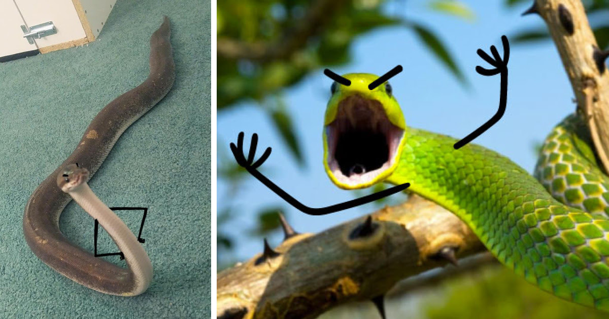 Drawing Doodle Hands On Snakes  Is The Funniest Thing Ever 