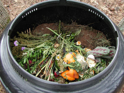 Composting Made Simple How and Why to Compost Green 