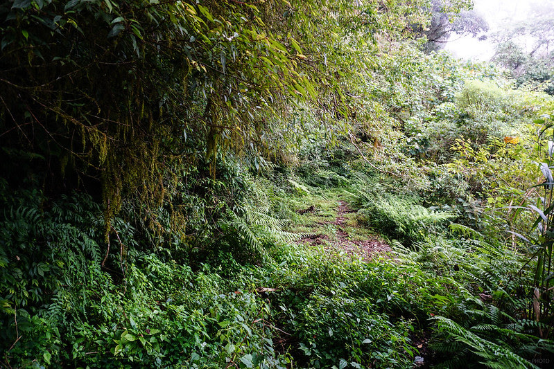 DSC01111