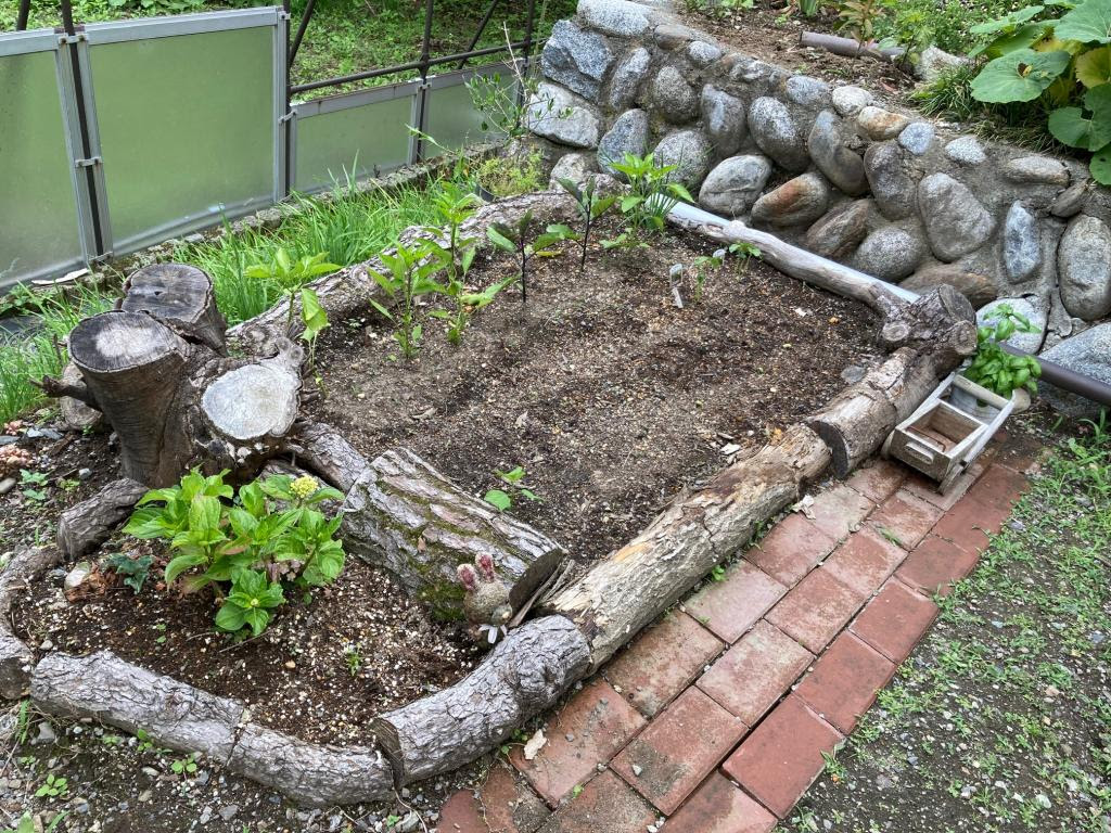 家庭菜園21 スタッフブログ 総合デザイン制作の株式会社 像形