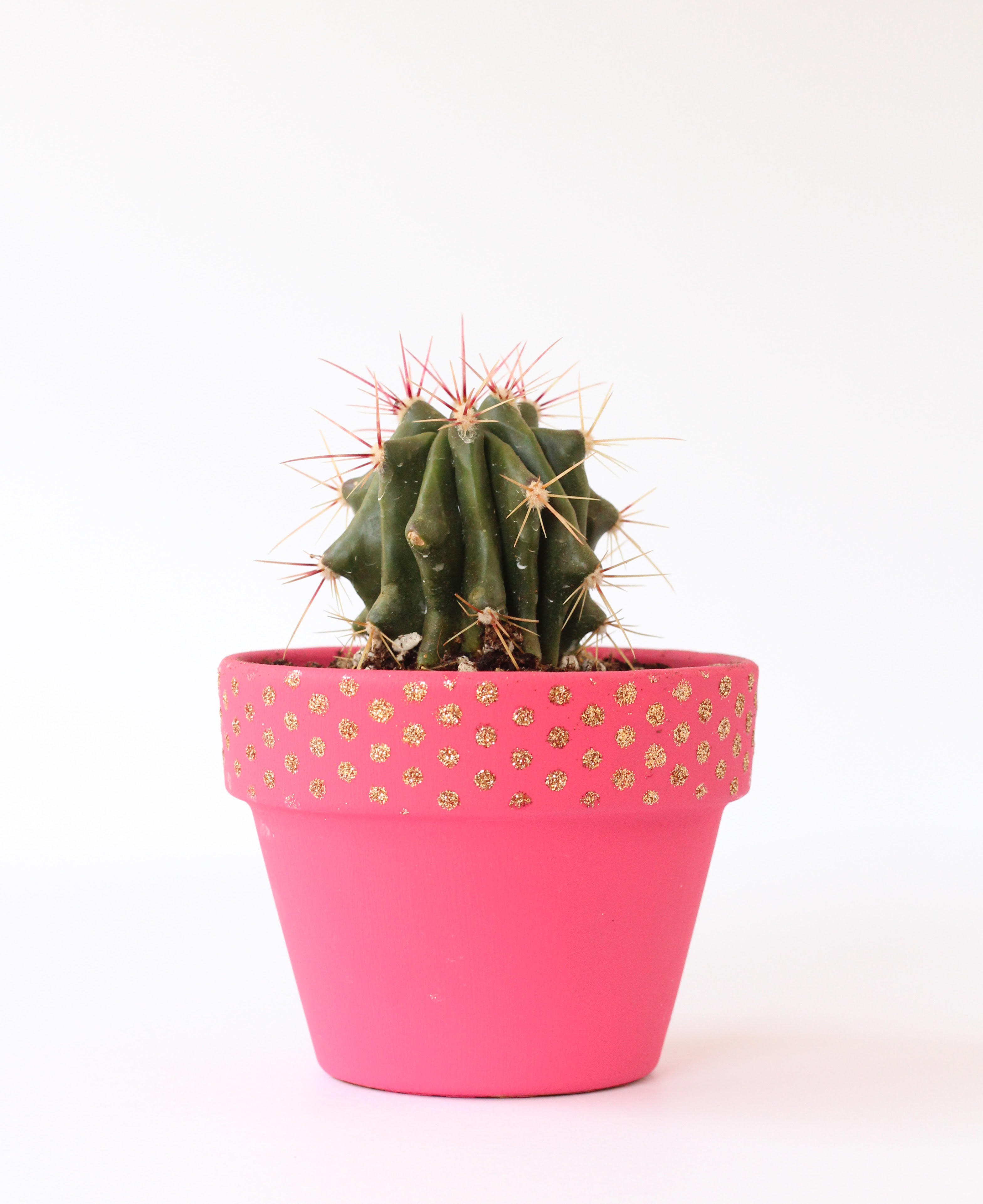 Stenciled Cactus  Planter The Crafted Life
