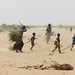 A family gathers sticks and branches for firewood