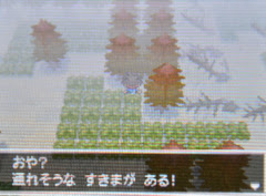 隠し穴の場所と出現するポケモン ポケモン ブラック2 ホワイト2 Bw2 攻略広場