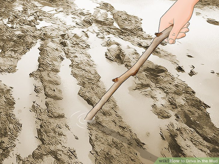 Drive in the Mud Step 1 Version 4.jpg