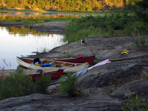 The Massasauga Provincial Park, Ontario