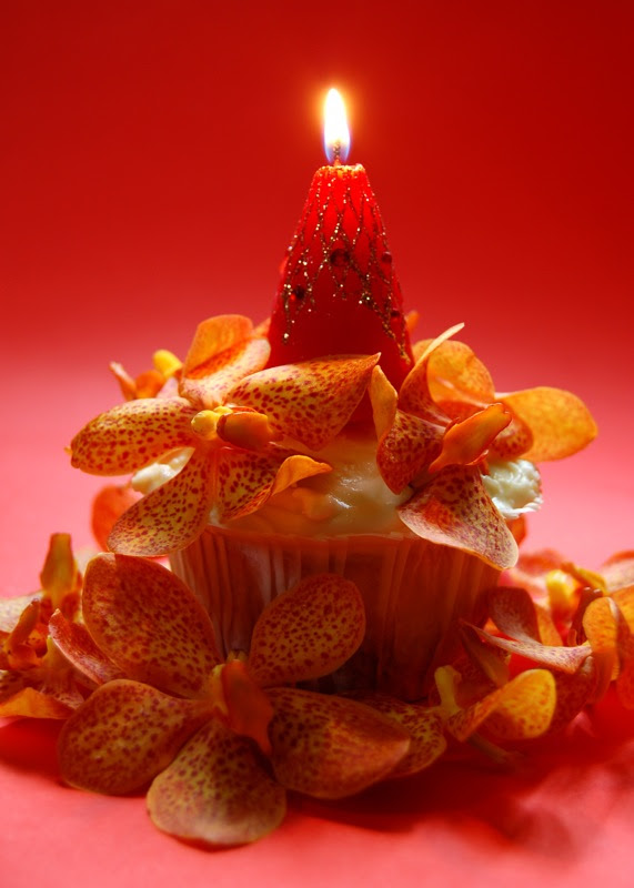 happy-blog-day