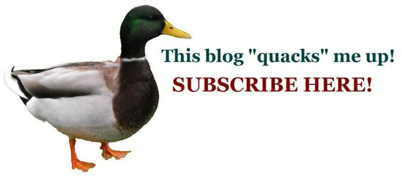 Just quack on me to subscribe