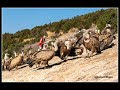 salida a guara. Huesca
