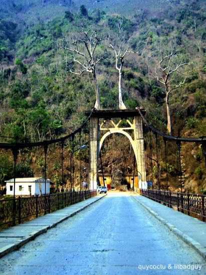 cauhangtom