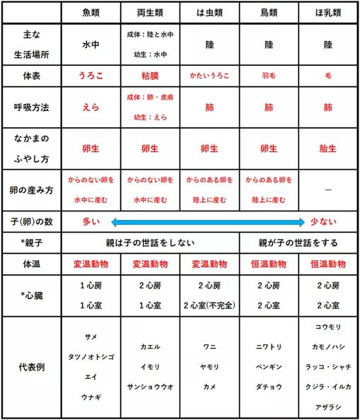 動物について