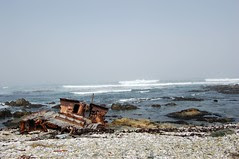 RobinIslandShipwreck