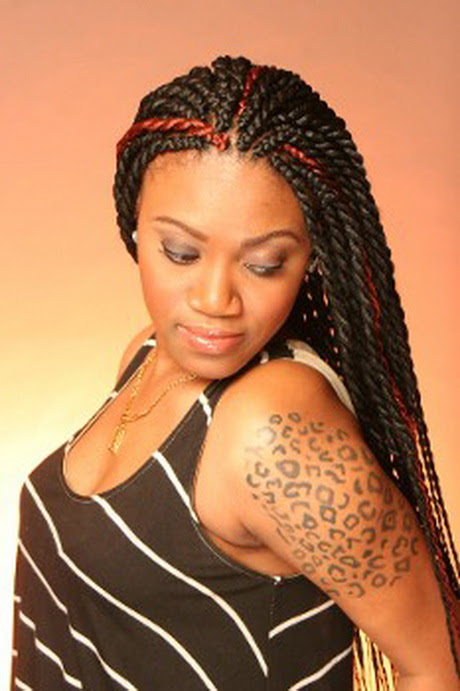  Braid  twist  hairstyles 