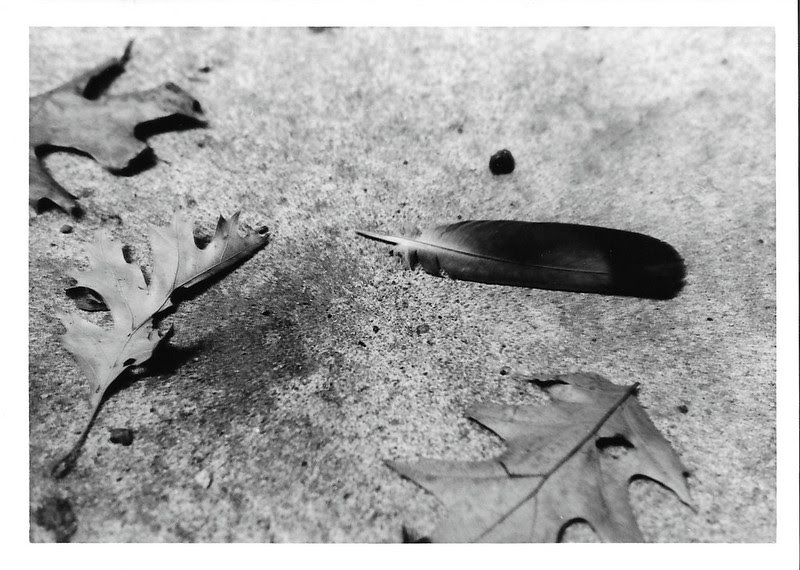 portfolio 14