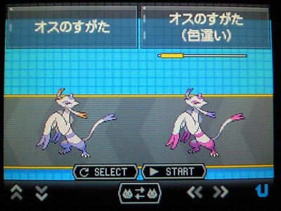 B2色違いコジョフー お馬さんの足音