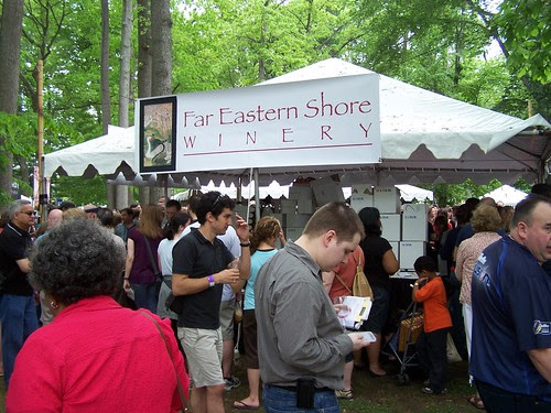 Wine in the Woods
