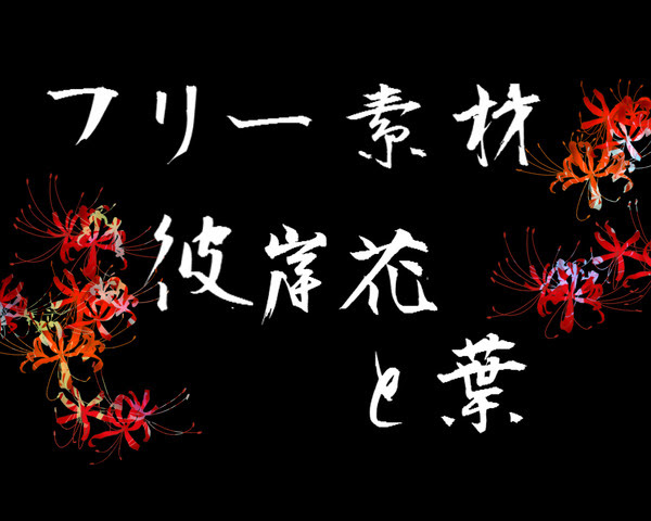 フリー素材 彼岸花と葉 Pixiv年鑑 B