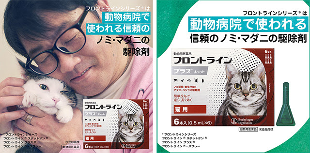猫がお腹を見せてゴロンと転がる くねくねする理由とは
